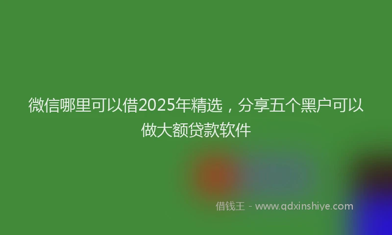 微信哪里可以借2025年精选，分享五个黑户可以做大额贷款软件