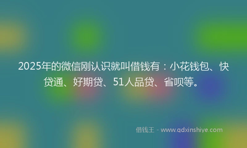 2025年的微信刚认识就叫借钱有：小花钱包、快贷通、好期贷、51人品贷、省呗等。