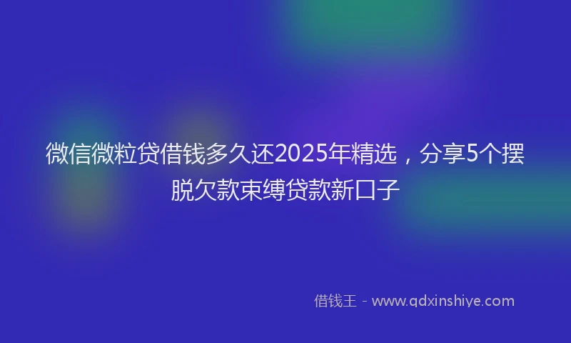 微信微粒贷借钱多久还2025年精选，分享5个摆脱欠款束缚贷款新口子