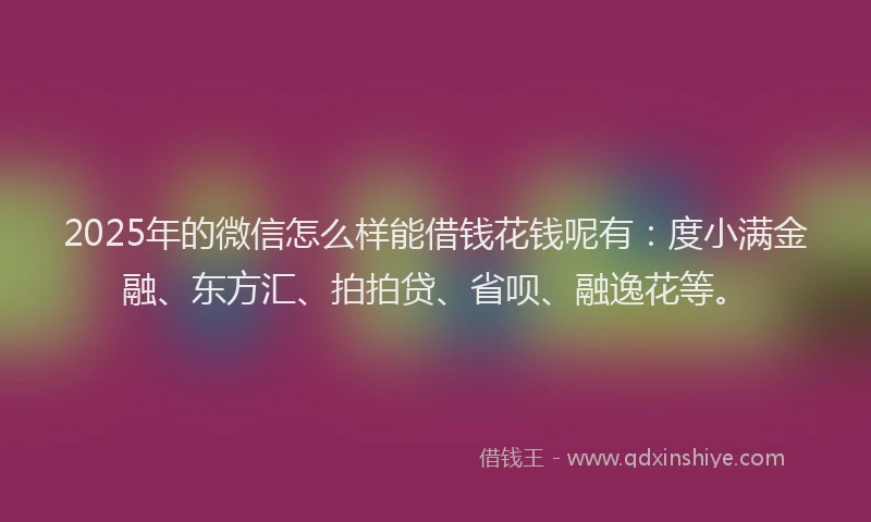 2025年的微信怎么样能借钱花钱呢有：度小满金融、东方汇、拍拍贷、省呗、融逸花等。
