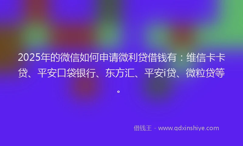 2025年的微信如何申请微利贷借钱有：维信卡卡贷、平安口袋银行、东方汇、平安i贷、微粒贷等。