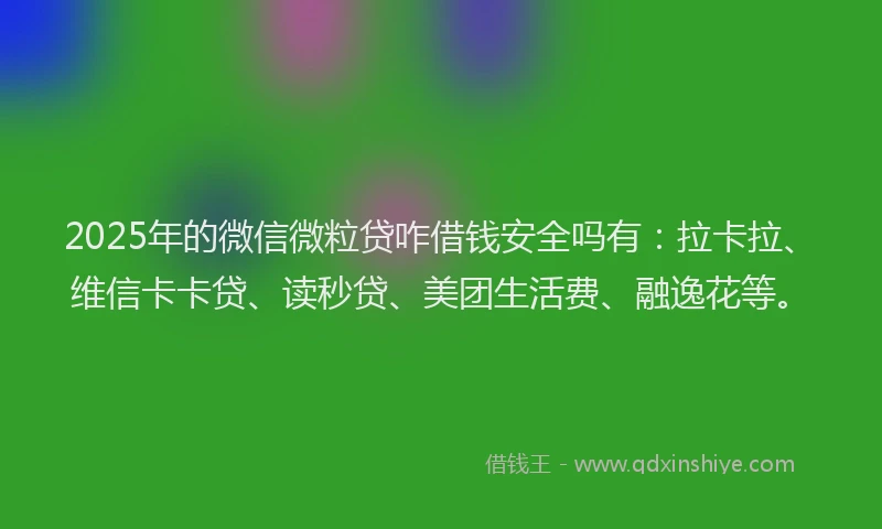 2025年的微信微粒贷咋借钱安全吗有：拉卡拉、维信卡卡贷、读秒贷、美团生活费、融逸花等。