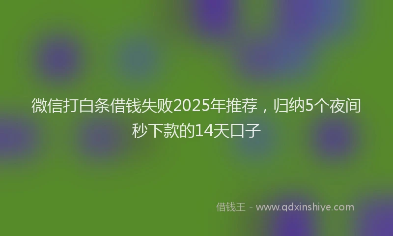 微信打白条借钱失败2025年推荐，归纳5个夜间秒下款的14天口子
