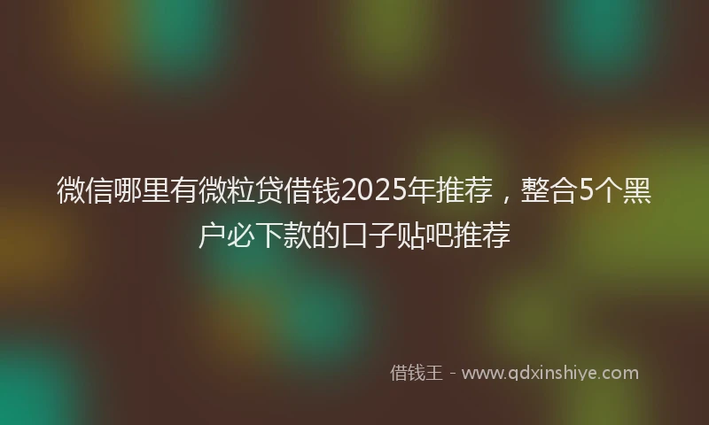 微信哪里有微粒贷借钱2025年推荐，整合5个黑户必下款的口子贴吧推荐