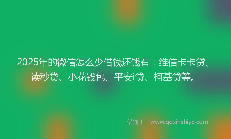 2025年的微信怎么少借钱还钱有：维信卡卡贷、读秒贷、小花钱包、平安i贷、柯基贷等。