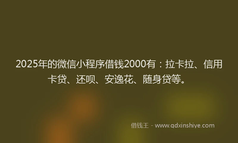 2025年的微信小程序借钱2000有：拉卡拉、信用卡贷、还呗、安逸花、随身贷等。