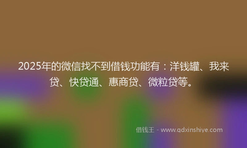 2025年的微信找不到借钱功能有：洋钱罐、我来贷、快贷通、惠商贷、微粒贷等。