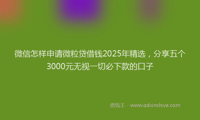 微信怎样申请微粒贷借钱2025年精选，分享五个3000元无视一切必下款的口子
