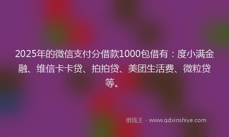2025年的微信支付分借款1000包借有：度小满金融、维信卡卡贷、拍拍贷、美团生活费、微粒贷等。