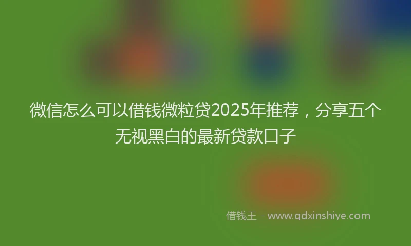 微信怎么可以借钱微粒贷2025年推荐，分享五个无视黑白的最新贷款口子