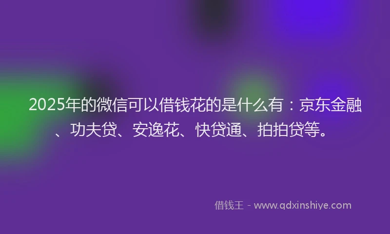 2025年的微信可以借钱花的是什么有：京东金融、功夫贷、安逸花、快贷通、拍拍贷等。
