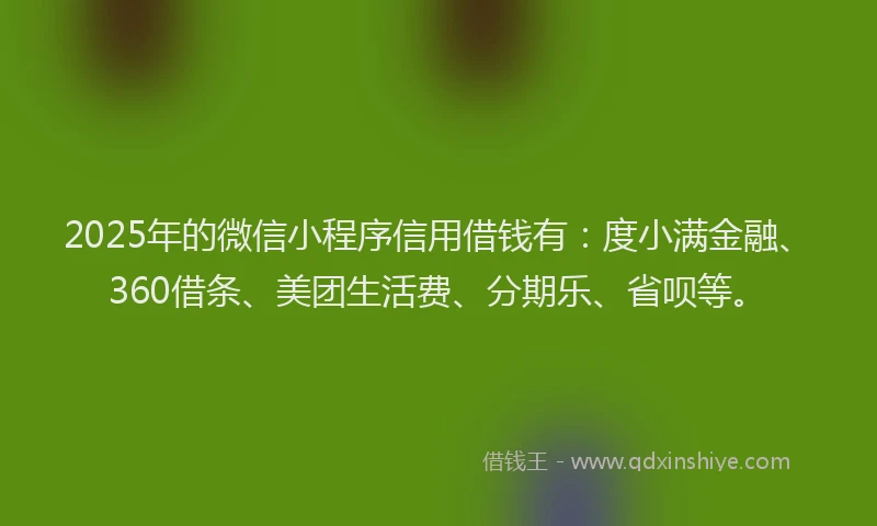 2025年的微信小程序信用借钱有：度小满金融、360借条、美团生活费、分期乐、省呗等。