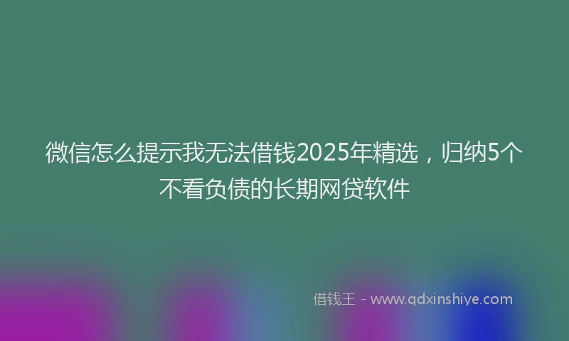 微信怎么提示我无法借钱2025年精选，归纳5个不看负债的长期网贷软件