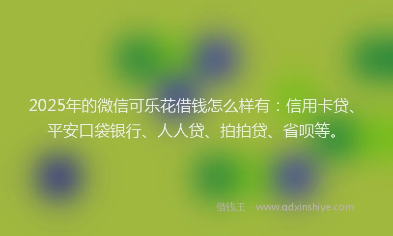 2025年的微信可乐花借钱怎么样有：信用卡贷、平安口袋银行、人人贷、拍拍贷、省呗等。