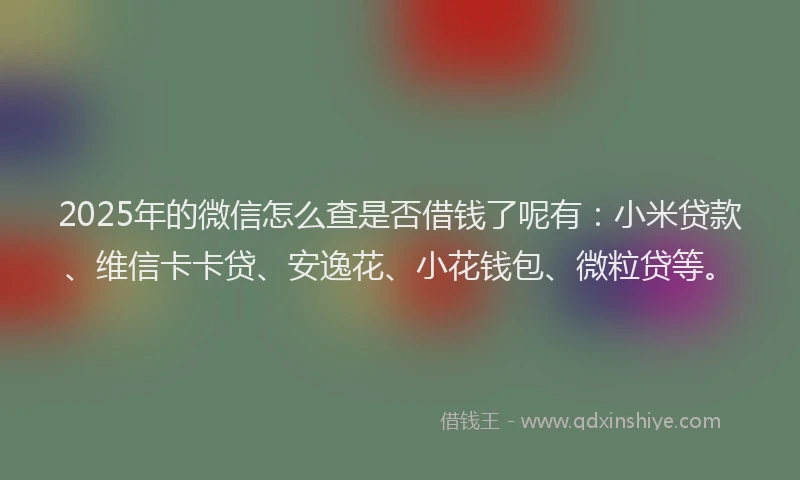 2025年的微信怎么查是否借钱了呢有：小米贷款、维信卡卡贷、安逸花、小花钱包、微粒贷等。