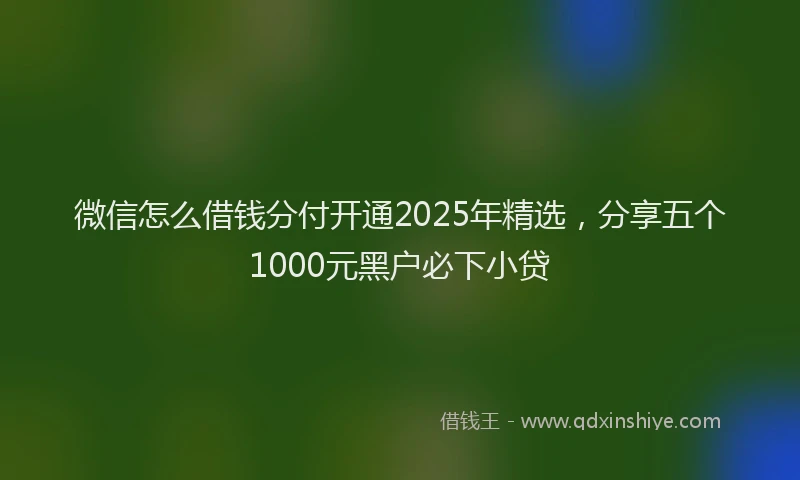 微信怎么借钱分付开通2025年精选，分享五个1000元黑户必下小贷