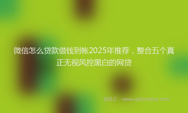 微信怎么贷款借钱到帐2025年推荐，整合五个真正无视风控黑白的网贷