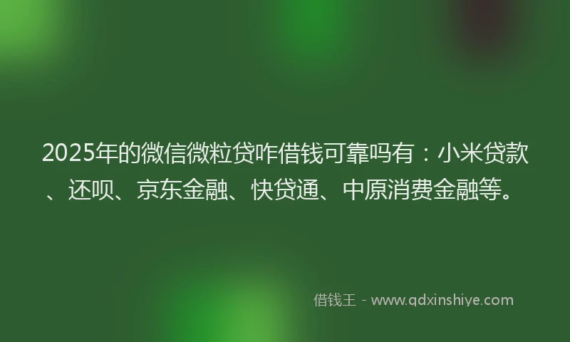 2025年的微信微粒贷咋借钱可靠吗有:小米贷款、还呗、京东金融、快贷通、中原消费金融等。