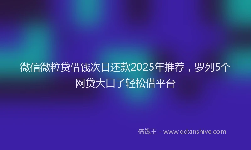 微信微粒贷借钱次日还款2025年推荐，罗列5个网贷大口子轻松借平台