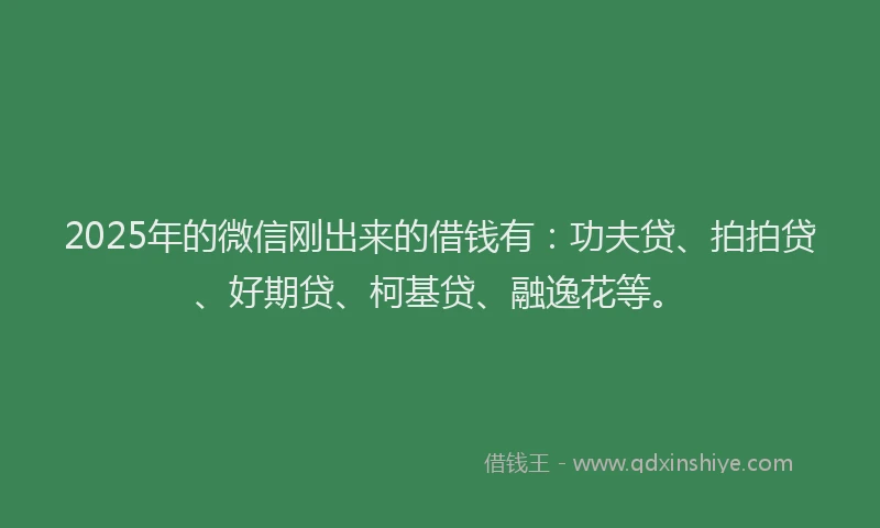 2025年的微信刚出来的借钱有：功夫贷、拍拍贷、好期贷、柯基贷、融逸花等。
