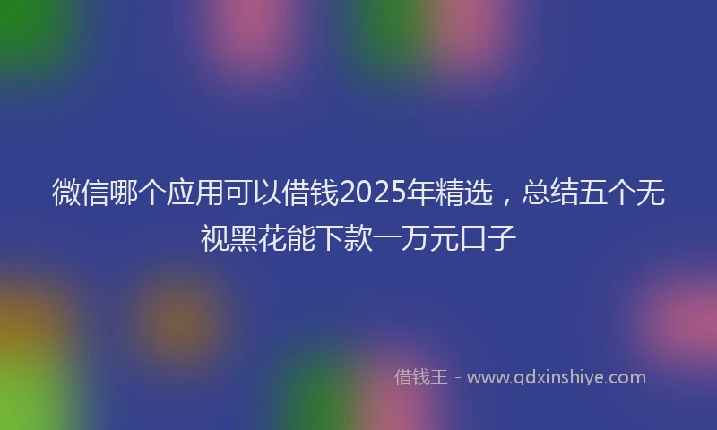 微信哪个应用可以借钱2025年精选，总结五个无视黑花能下款一万元口子