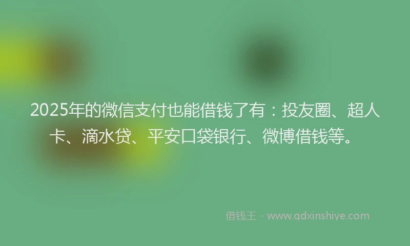 2025年的微信支付也能借钱了有：投友圈、超人卡、滴水贷、平安口袋银行、微博借钱等。