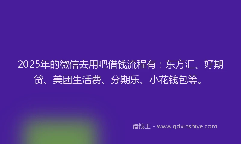 2025年的微信去用吧借钱流程有：东方汇、好期贷、美团生活费、分期乐、小花钱包等。