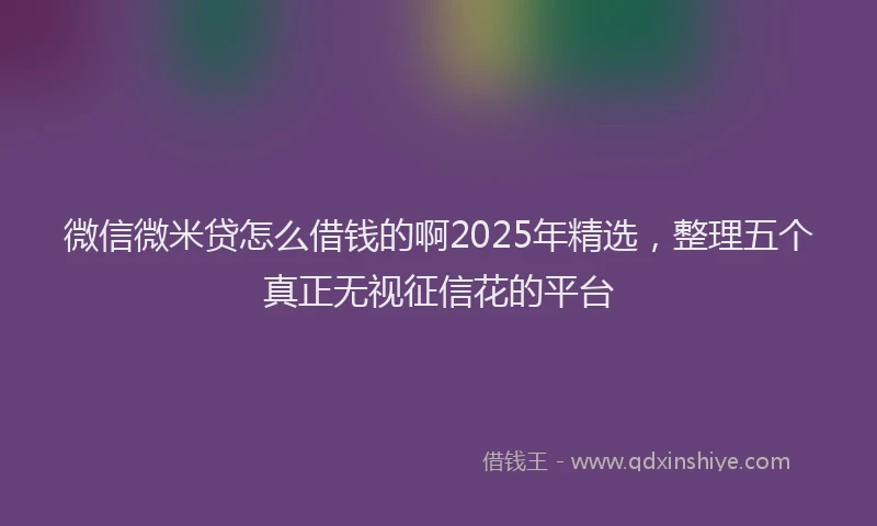 微信微米贷怎么借钱的啊2025年精选，整理五个真正无视征信花的平台