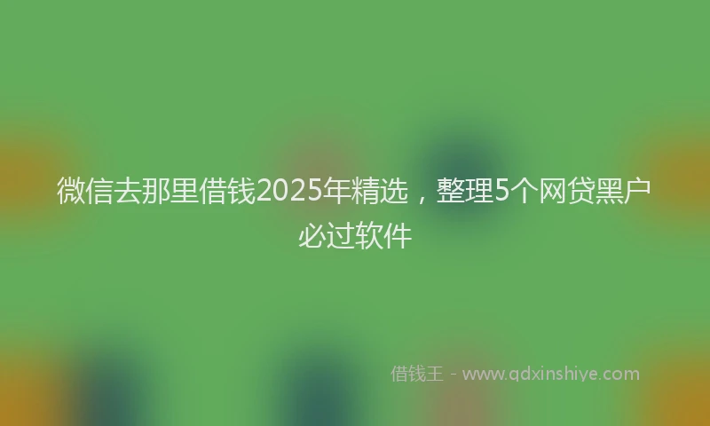 微信去那里借钱2025年精选，整理5个网贷黑户必过软件
