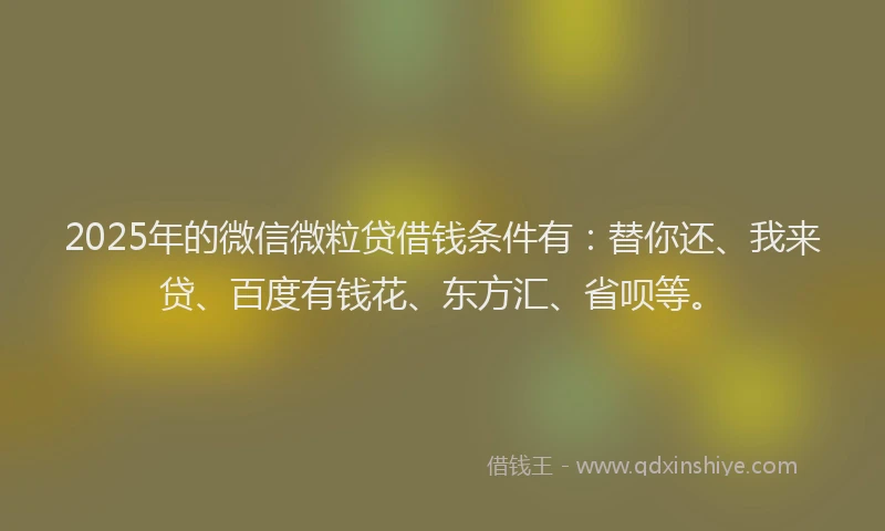 2025年的微信微粒贷借钱条件有：替你还、我来贷、百度有钱花、东方汇、省呗等。