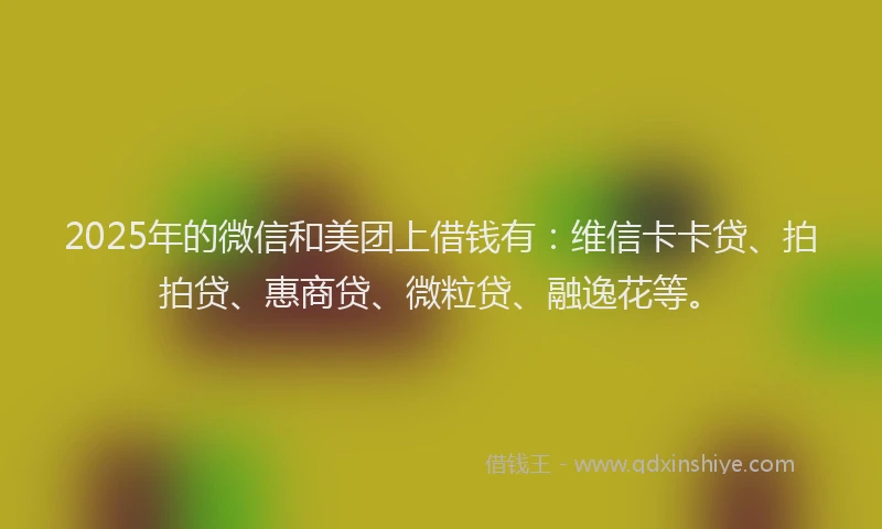 2025年的微信和美团上借钱有：维信卡卡贷、拍拍贷、惠商贷、微粒贷、融逸花等。