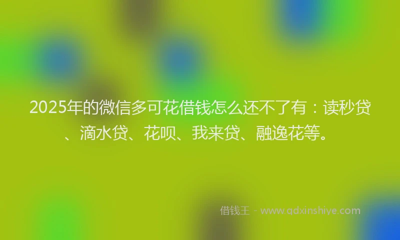 2025年的微信多可花借钱怎么还不了有：读秒贷、滴水贷、花呗、我来贷、融逸花等。