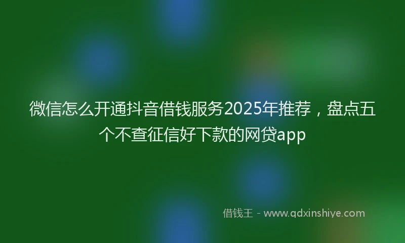 微信怎么开通抖音借钱服务2025年推荐，盘点五个不查征信好下款的网贷app