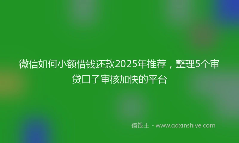微信如何小额借钱还款2025年推荐，整理5个审贷口子审核加快的平台
