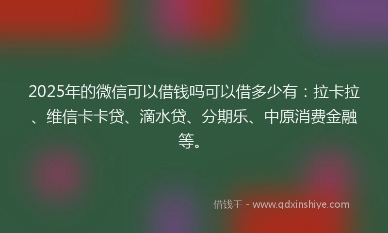 2025年的微信可以借钱吗可以借多少有：拉卡拉、维信卡卡贷、滴水贷、分期乐、中原消费金融等。