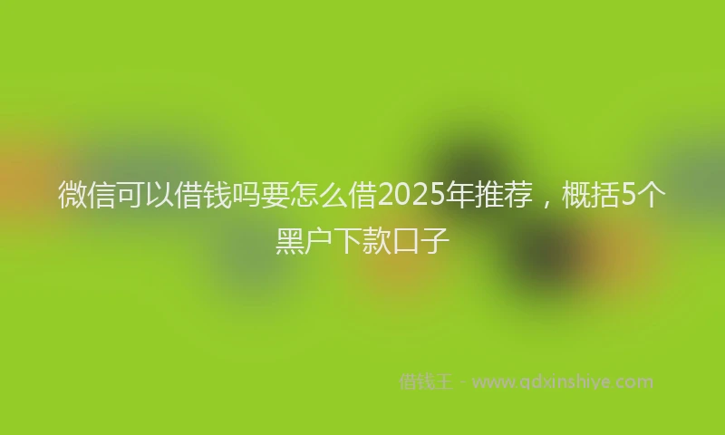 微信可以借钱吗要怎么借2025年推荐，概括5个黑户下款口子