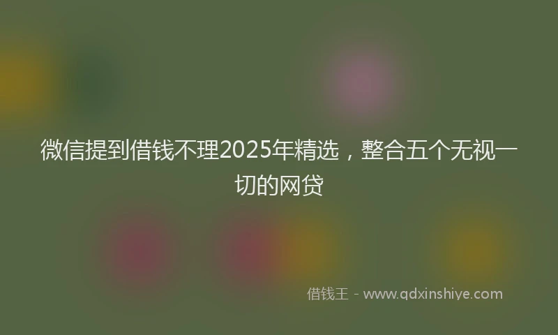 微信提到借钱不理2025年精选，整合五个无视一切的网贷