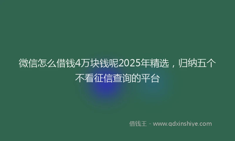 微信怎么借钱4万块钱呢2025年精选，归纳五个不看征信查询的平台