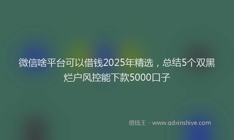 微信啥平台可以借钱2025年精选，总结5个双黑烂户风控能下款5000口子