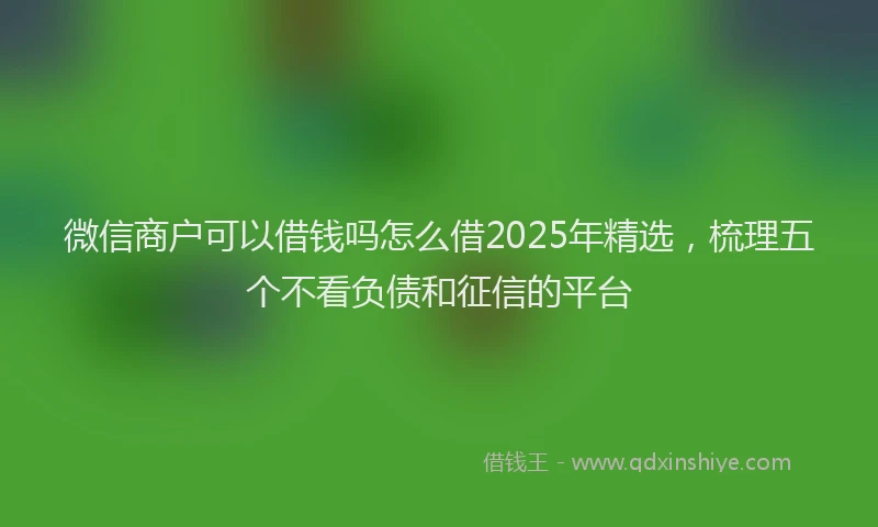 微信商户可以借钱吗怎么借2025年精选，梳理五个不看负债和征信的平台
