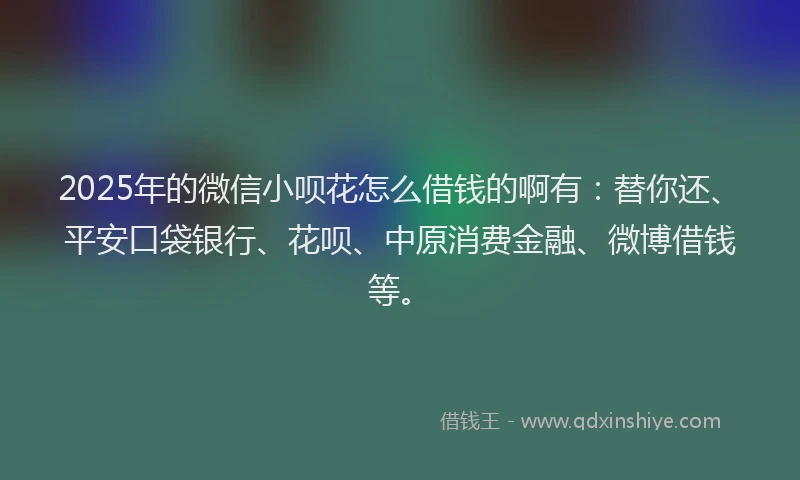 2025年的微信小呗花怎么借钱的啊有：替你还、平安口袋银行、花呗、中原消费金融、微博借钱等。