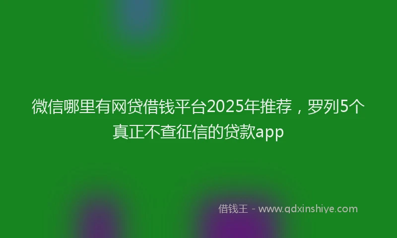 微信哪里有网贷借钱平台2025年推荐，罗列5个真正不查征信的贷款app