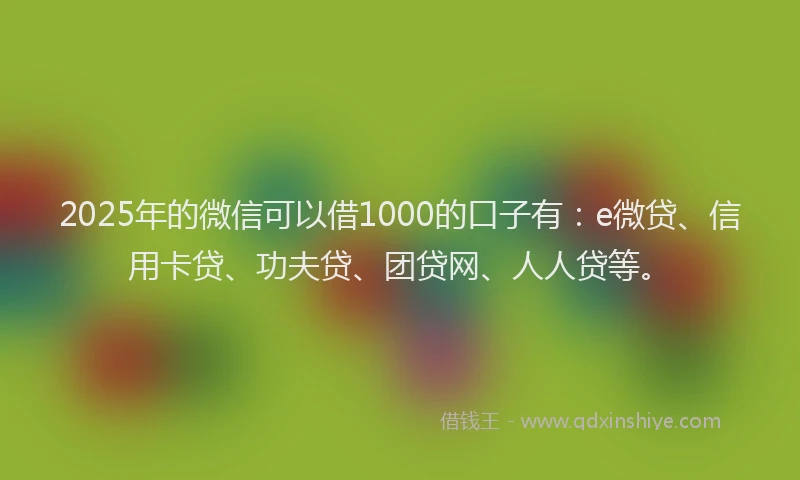 2025年的微信可以借1000的口子有：e微贷、信用卡贷、功夫贷、团贷网、人人贷等。
