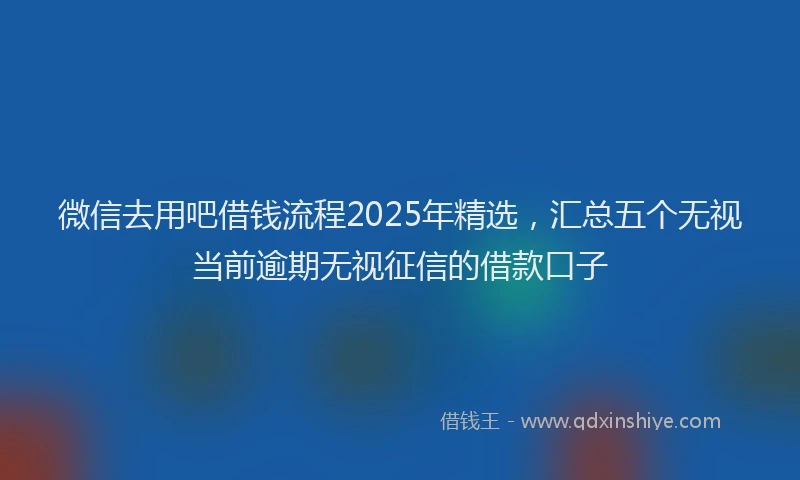 微信去用吧借钱流程2025年精选，汇总五个无视当前逾期无视征信的借款口子