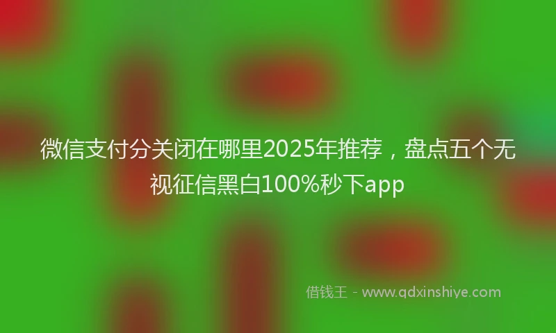 微信支付分关闭在哪里2025年推荐，盘点五个无视征信黑白100%秒下app