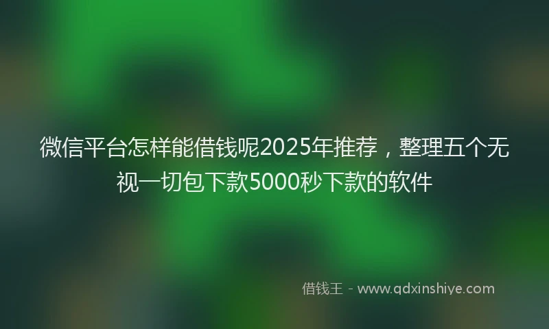 微信平台怎样能借钱呢2025年推荐，整理五个无视一切包下款5000秒下款的软件