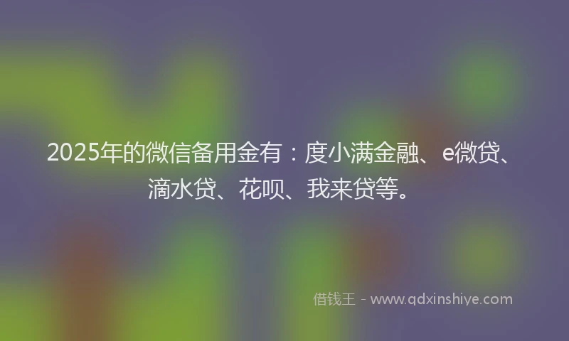 2025年的微信备用金有：度小满金融、e微贷、滴水贷、花呗、我来贷等。