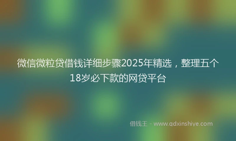 微信微粒贷借钱详细步骤2025年精选，整理五个18岁必下款的网贷平台