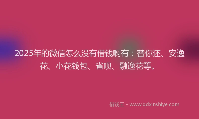 2025年的微信怎么没有借钱啊有：替你还、安逸花、小花钱包、省呗、融逸花等。