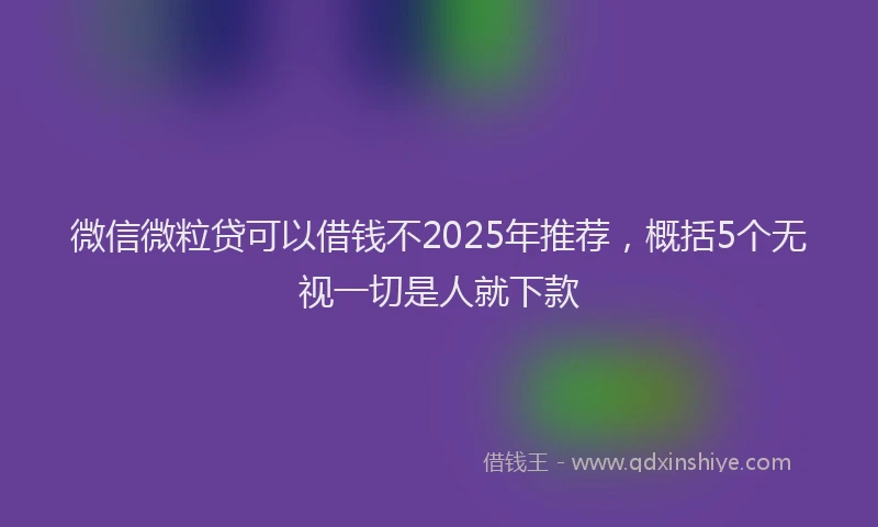 微信微粒贷可以借钱不2025年推荐，概括5个无视一切是人就下款